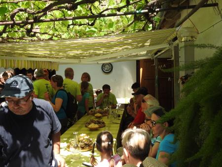 12. pohod Pomlad v prleških goricah Dan odprtih kleti in veselih ljudi, 28.5.2016 14